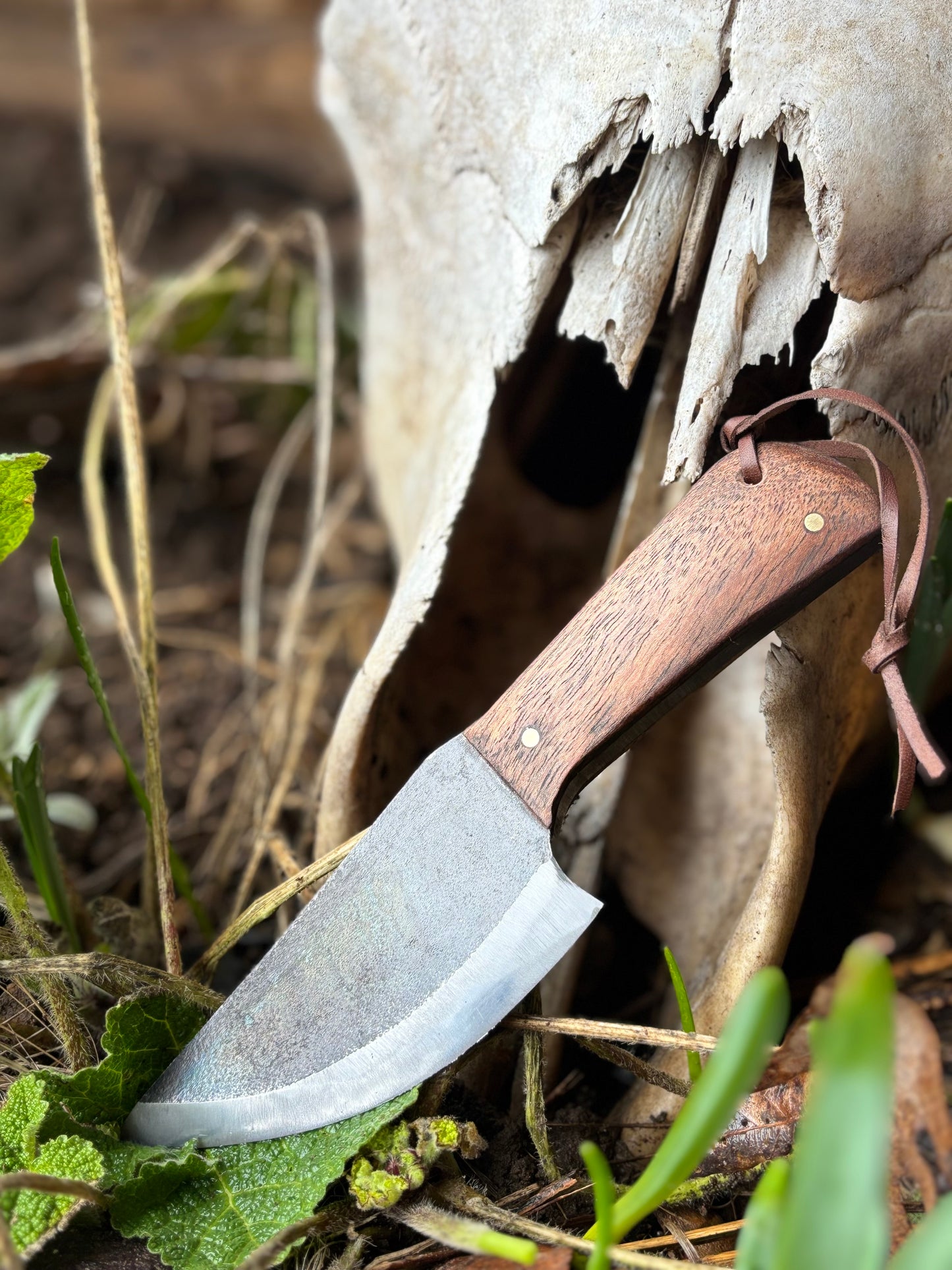 "White Rock" Skinner